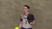 Softball GIF by CUWFalcons
