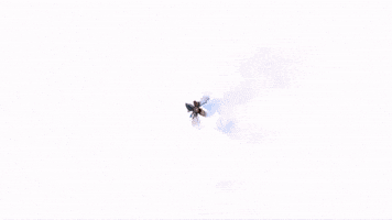 The World From a 360 Camera