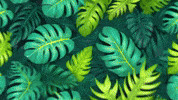GIF by TeaCosyFolk