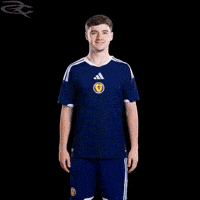 Fifa World Cup Uefa GIF by Respective