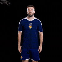 Fifa World Cup Uefa GIF by Respective