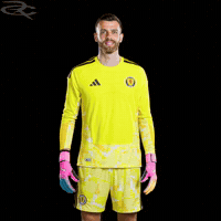 Fifa World Cup Uefa GIF by Respective