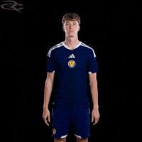 Fifa World Cup Uefa GIF by Respective