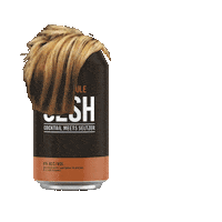 Drunk Karen Sticker by func.media