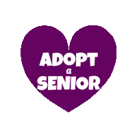 fosterbubbies heart adopt senior purple heart Sticker
