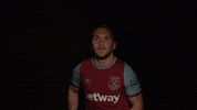Celebrate West Ham GIF by West Ham United