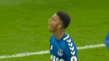 Utt Evertonfc GIF by Everton Football Club