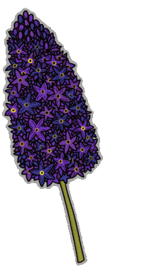 Spring Flower Flowers Sticker