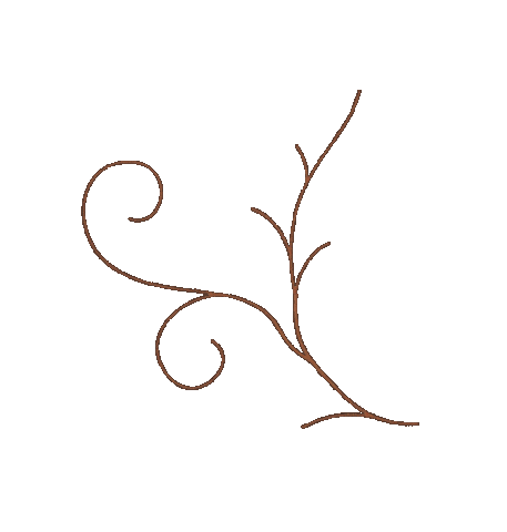 Flower Growing Sticker