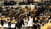 Basketball Dunk GIF by Towson University