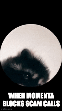 Momenta GIF