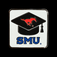 University Graduation GIF by Pinned Pins