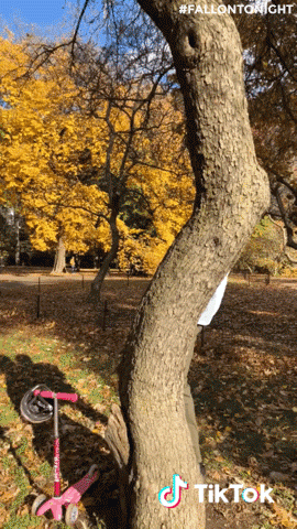 tonight show lol GIF by The Tonight Show Starring Jimmy Fallon