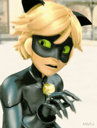 Chat Noir Mlb GIF