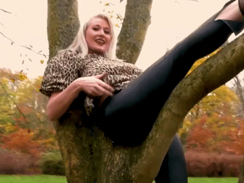 MikeyMoNL giphyupload GIF