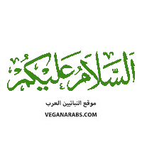 السلام عليكم Sticker by VeganArabs