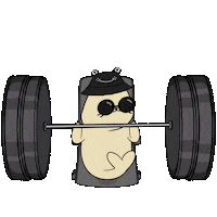 Work Out Fun Sticker by Sappy Seals Community
