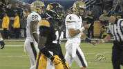Iowa Hawkeyes Football GIF by University of Iowa Hawkeyes Athletics