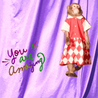 Monkey GIF