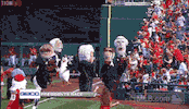 washington nationals baseball GIF by MLB