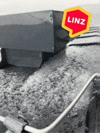 Austria Omg GIF by Linz News