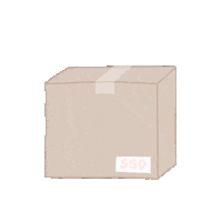 Ssd Parcel Sticker by shopsassydream