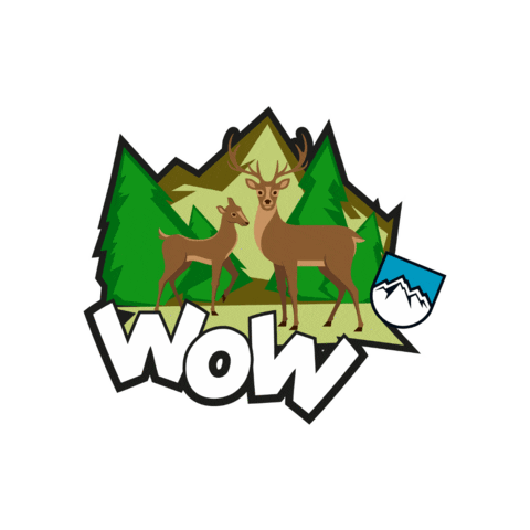 staypesco wow woow abruzzo wooow Sticker