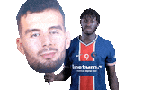 France Sport Sticker by Paris Saint-Germain Handball