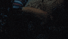 warnerchannella friends warner warner channel warnerchannel GIF
