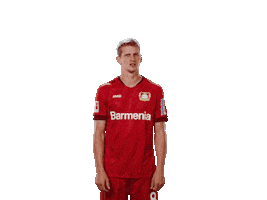 Bayer 04 Wtf Sticker by Bayer 04 Leverkusen