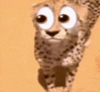 Tuff Klauber GIF
