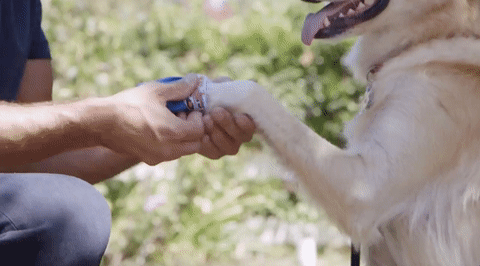 trutv GIF by truTV’s Hack My Life
