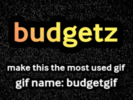 Budgetgif GIF