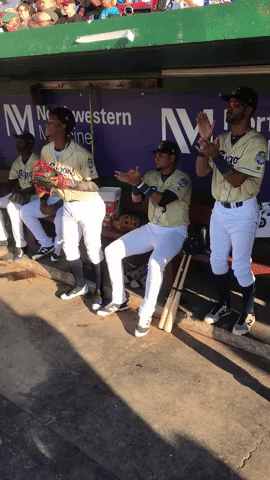 kccougars kccougars GIF