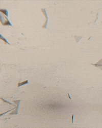 Cat GIF