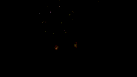 Firework GIF by Pyroland