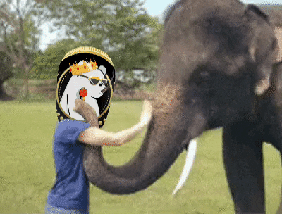 Good Night Nft GIF by SuperRareBears