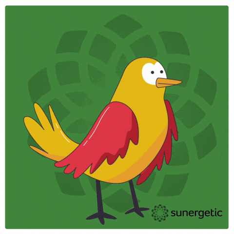 Suner GIF by Sunergetic