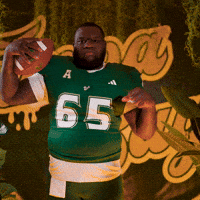College Football GIF by USF Athletics