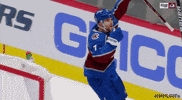 Ice Hockey Sport GIF by NHL