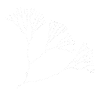 Boho Minim Sticker