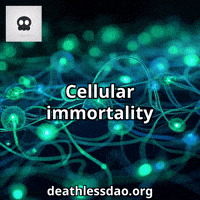 Humor Glow GIF by deathlessdao