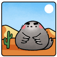 Dolphin What GIF by CGTN V-Studio