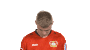 Bayer 04 Hello Sticker by Bundesliga