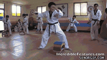 martial arts win GIF by Cheezburger