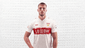 Vfb Stuttgart Football GIF by Bundesliga