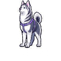 Husky Sticker by 4fluffy.shop