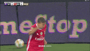 Sl Benfica Slbgifs GIF by Sport Lisboa e Benfica