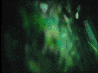 hand painted film GIF by Charles Pieper