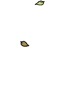 Fall Season Loop Sticker by 313GIFS